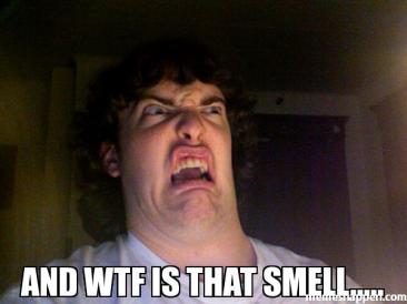 And-Wtf-is-that-smell-WTF-Meme