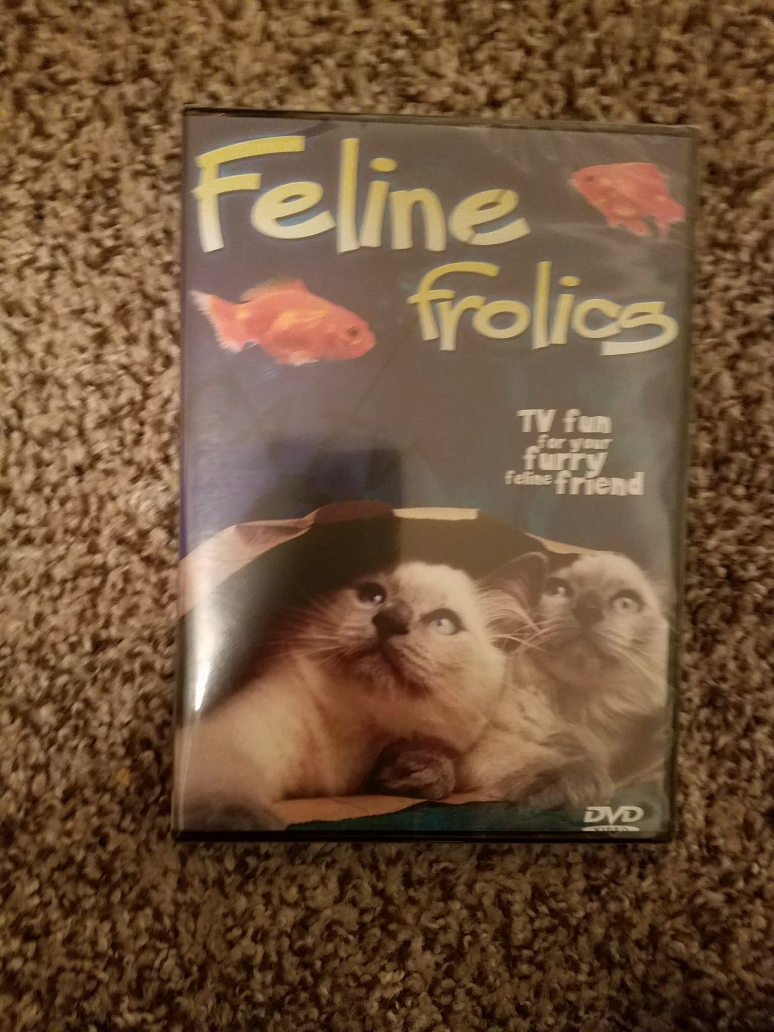 26238213_10154993388961536_48644283_o