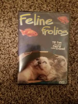 26238213_10154993388961536_48644283_o