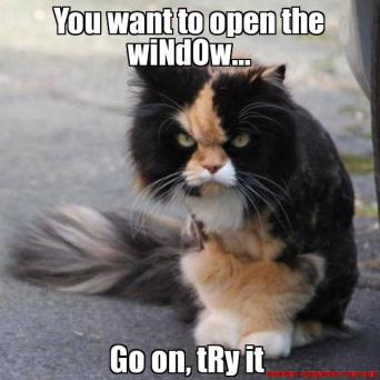 7286304bc58fb4afec1d2f338801314a