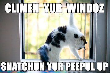 antoine_dodson_climbing_in_your_window-14240