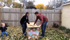 RaggedImmenseCarpenterant-max-1mb