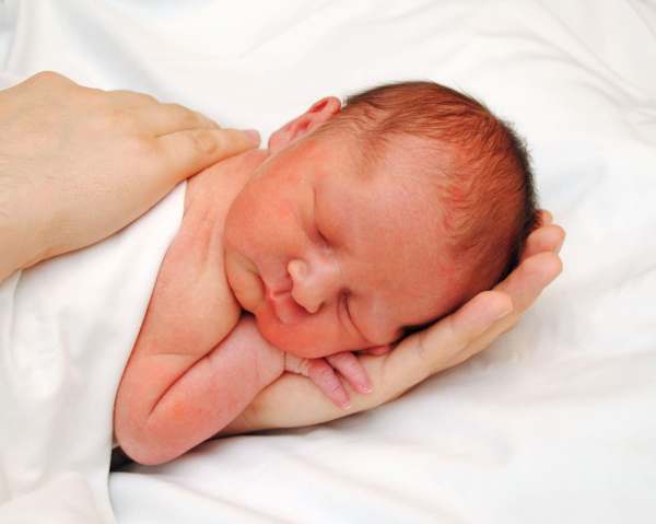 46812387_291068218204723_1461881115210940416_n